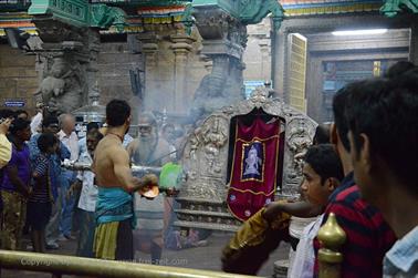 Meenakshi Temple, Madurai,_DSC_8390_H600